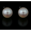 Pearls-WH/PEARL 5MM 14KT/WG